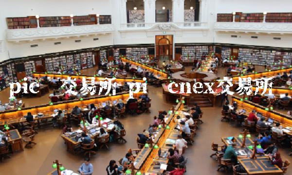 pic币交易所 pi币cnex交易所