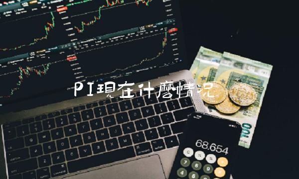 PI现在什么情况