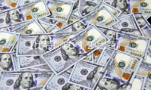 1比特币购买力 1.2个比特币