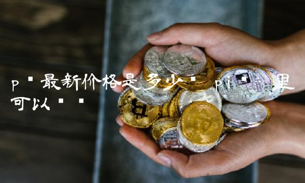p币最新价格是多少钱 pi币哪里可以买车