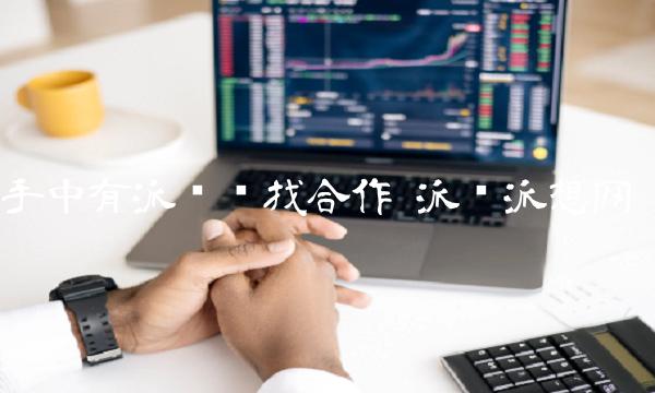 手中有派币寻找合作 派币派想网