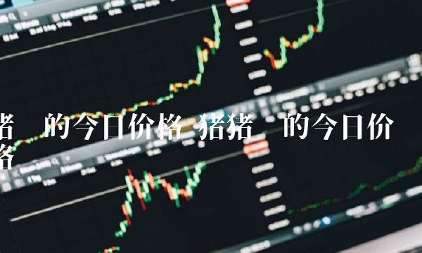 猪币的今日价格 猪猪币的今日价格