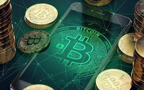 猪币兑换官方版下载APP猪币钱包官方手机版