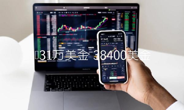 π币31万美金 38400美金