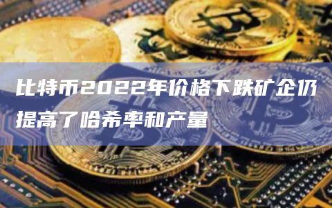 比特币2022年价格下跌矿企仍提高了哈希率和产量