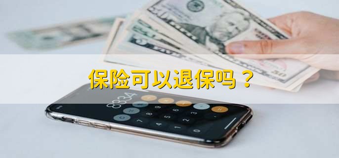 保险能不能退？