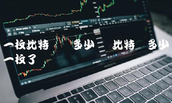 一枚比特币卖多少钱