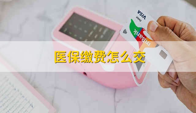 医保缴费如何缴费？ 医保是什么