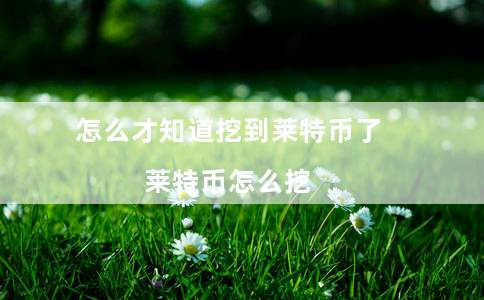 怎么才知道挖到莱特币了（莱特币怎么挖）