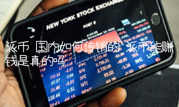 派币 国内如何传销的 派币能赚钱是真的吗