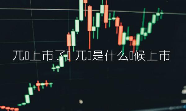 兀币上市了吗 兀币是什么时候上市