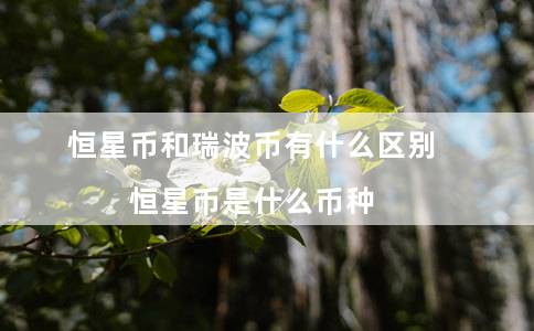 恒星币和瑞波币有什么区别（恒星币是什么币种）