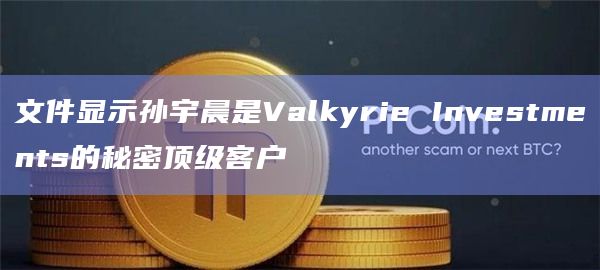 文件显示孙宇晨是Valkyrie Investments的秘密顶级客户