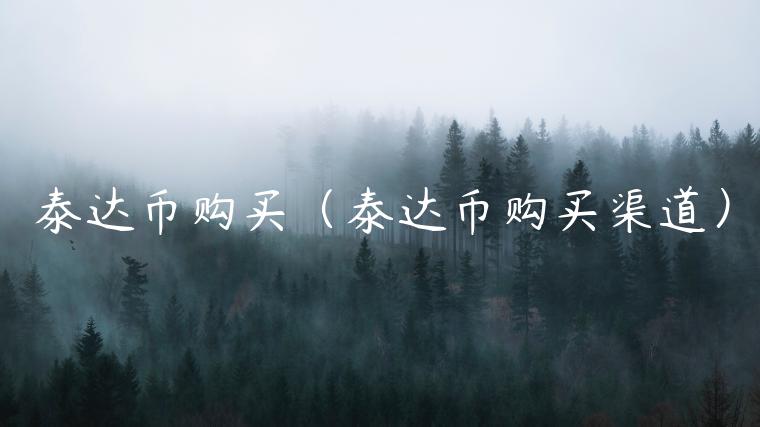 泰达币购买（泰达币购买渠道）