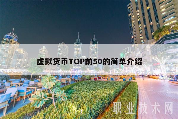 虚拟货币TOP前50的简单介绍