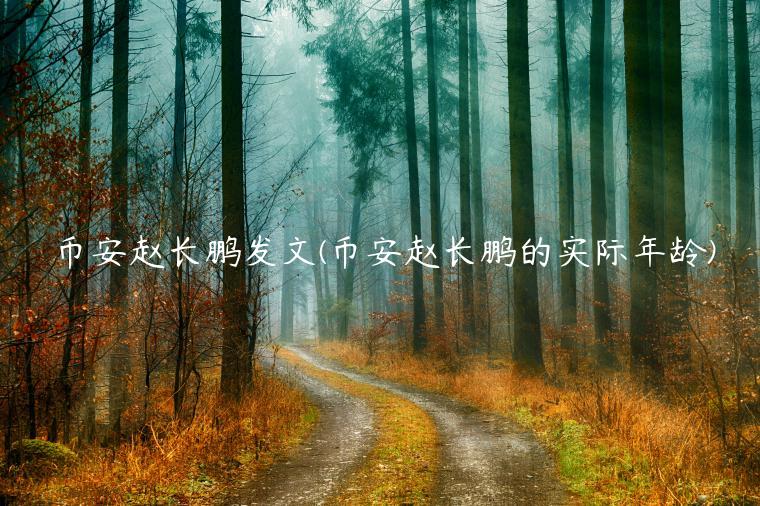 币安赵长鹏发文(币安赵长鹏的实际年龄)