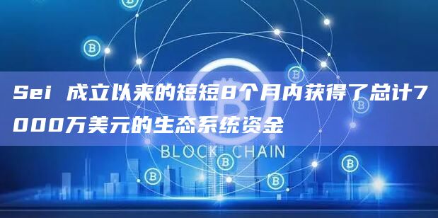 Sei 成立以来的短短8个月内获得了总计7000万美元的生态系统资金
