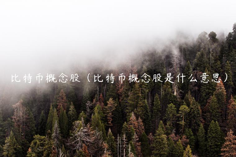 比特币概念股（比特币概念股是什么意思）