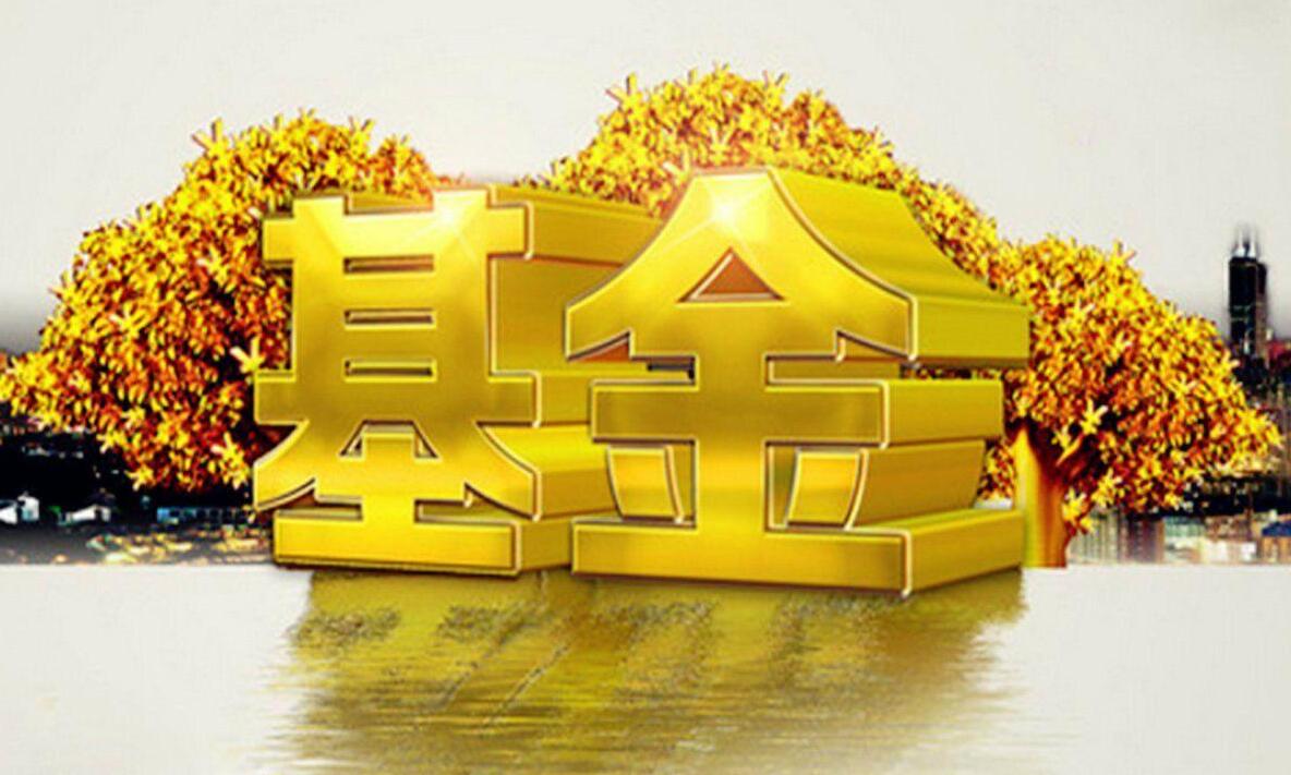 新手玩什么基金好（新手入门买什么基金好）