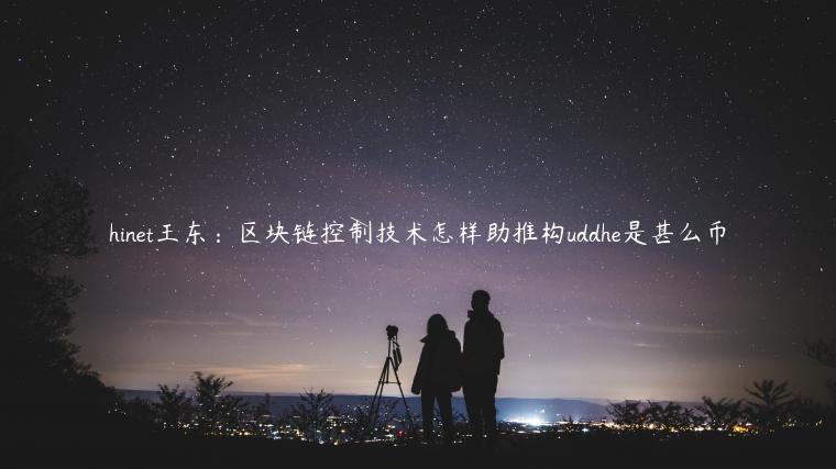 hinet王东：区块链控制技术怎样助推构uddhe是甚么币