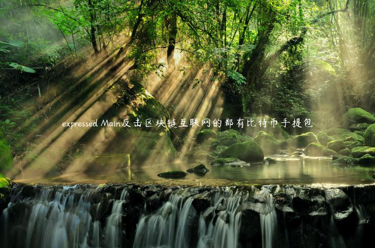 expressed Main反击区块链互联网的都有比特币手提包