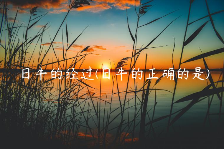 日牛的经过(日牛的正确的是)