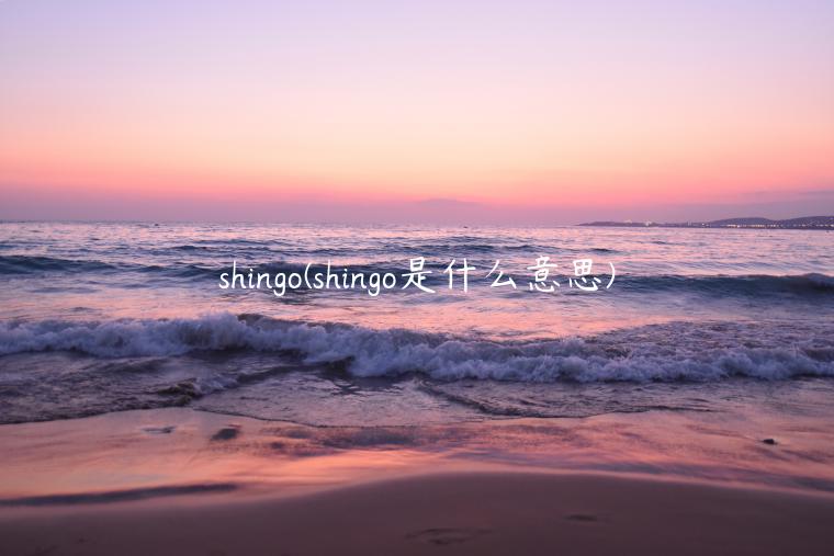 shingo(shingo是什么意思)
