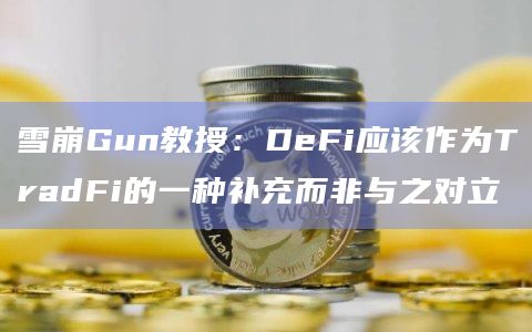 雪崩Gun教授：DeFi应该作为TradFi的一种补充而非与之对立