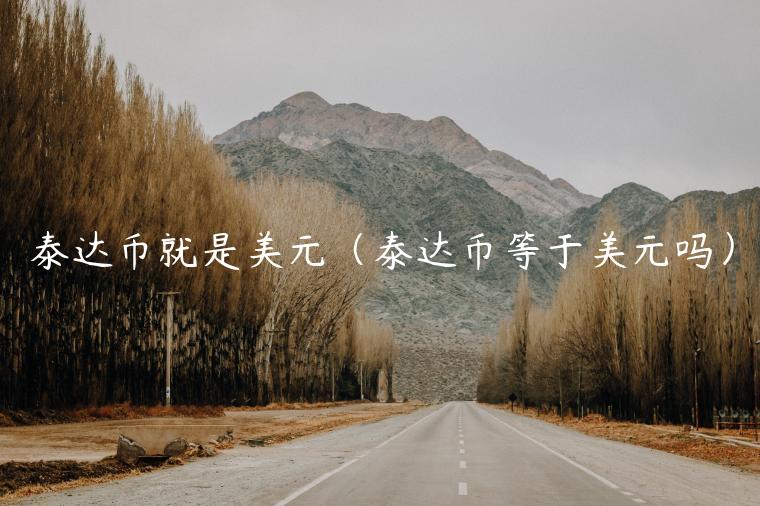 泰达币就是美元（泰达币等于美元吗）
