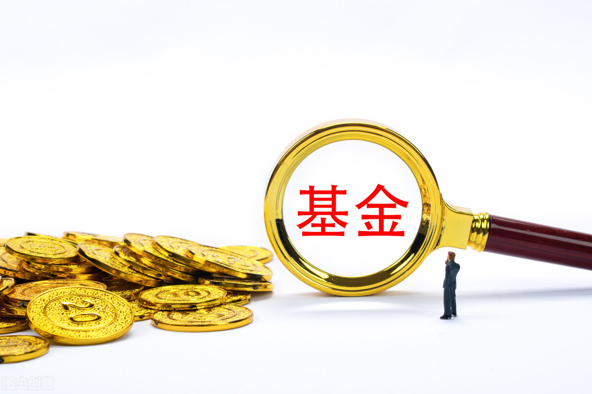 基金会不会跌没了（股票型基金会不会跌没了）