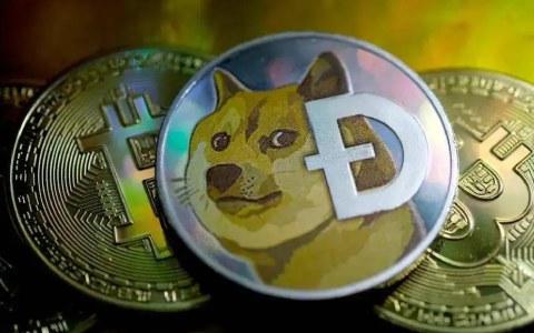 二狗币价格走势(二狗币最新价格与行情)