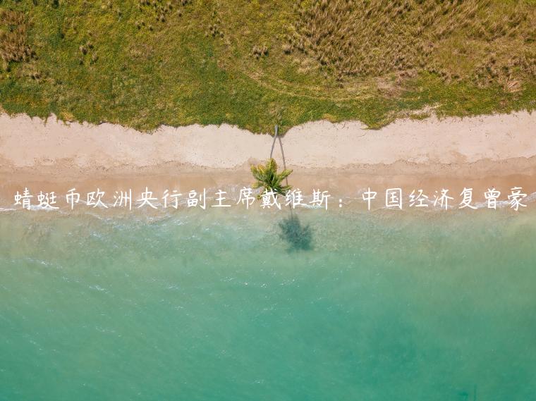 蜻蜓币欧洲央行副主席戴维斯：中国经济复曾豪