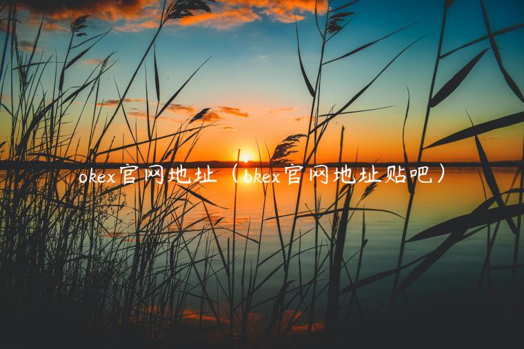 okex官网地址（okex官网地址贴吧）