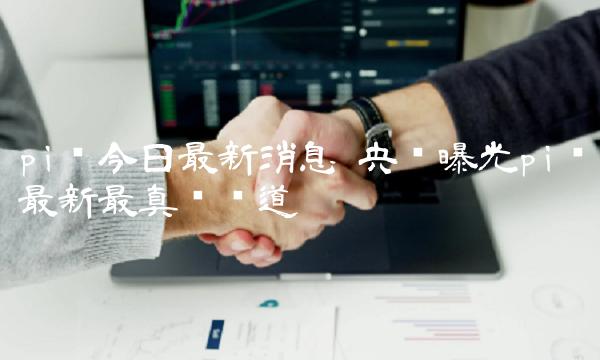 央视曝光pi币最新最真实报道