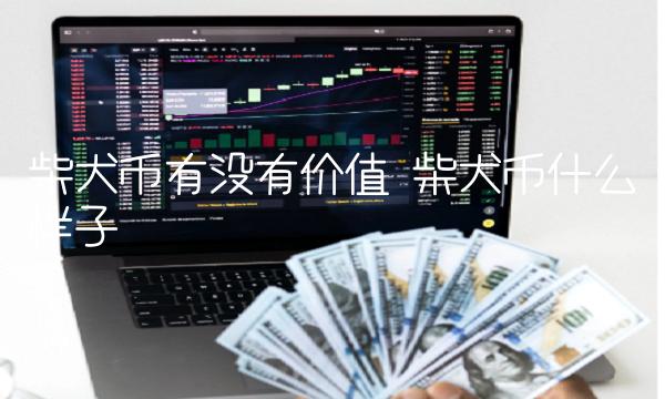 柴犬币有没有价值