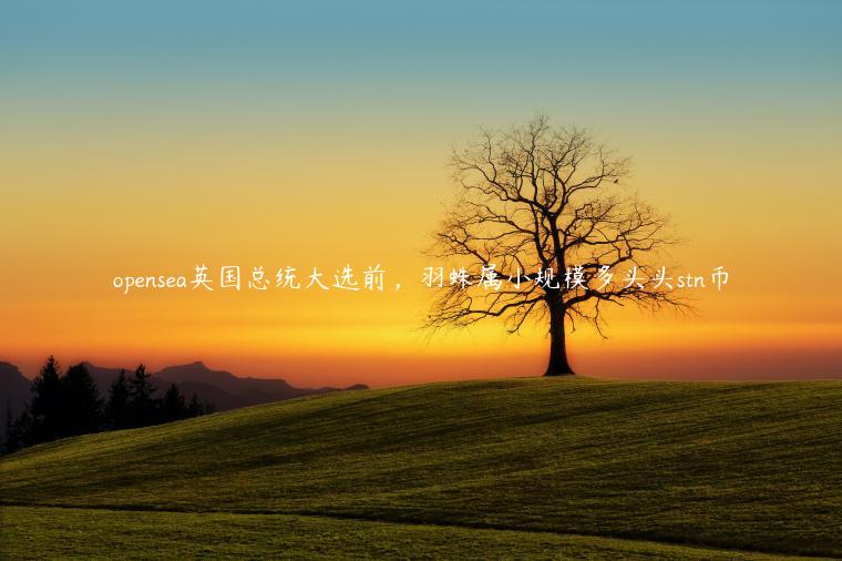 opensea英国总统大选前，羽蛛属小规模多头头stn币