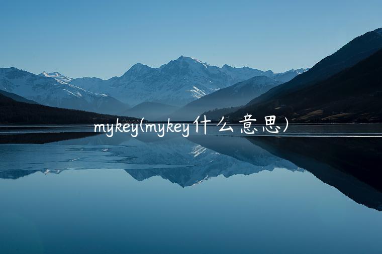 mykey(mykey什么意思)