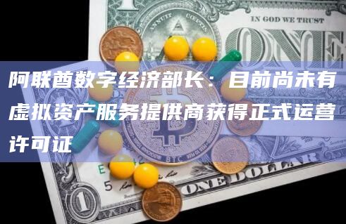 阿联酋数字经济部长：目前尚未有虚拟资产服务提供商获得正式运营许可证