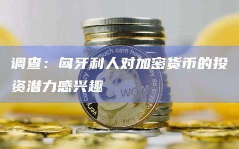 调查：匈牙利人对加密货币的投资潜力感兴趣