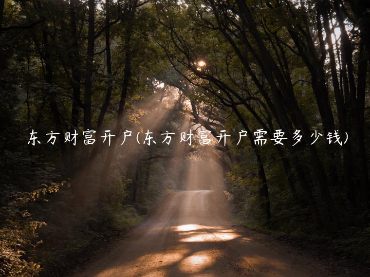东方财富开户(东方财富开户需要多少钱)