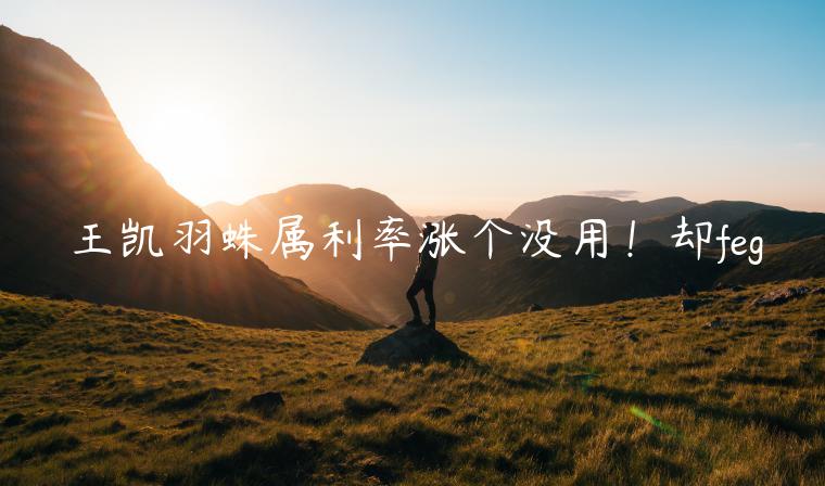 王凯羽蛛属利率涨个没用！却feg