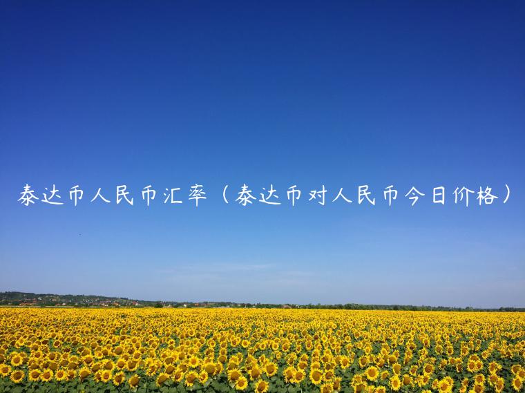泰达币人民币汇率（泰达币对人民币今日价格）