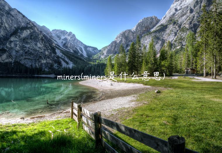 miners(miners是什么意思)