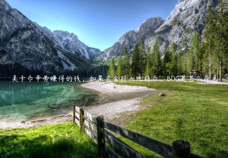 美卡币辛劳赚得的钱，如果资金投入比特币、BDG是甚么原意