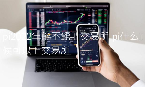 pi2022年能不能上交易所