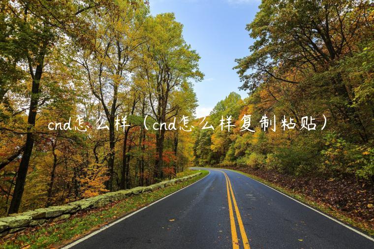 cnd怎么样（cnd怎么样复制粘贴）