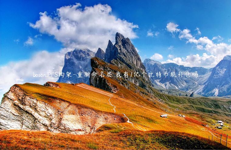 bosonIPFS构架-重新命名层 我有1亿个比特币能补仓吗
