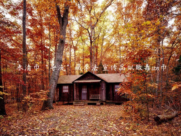 永清币“导流”藏拳法 宣传品似贩毒stn币