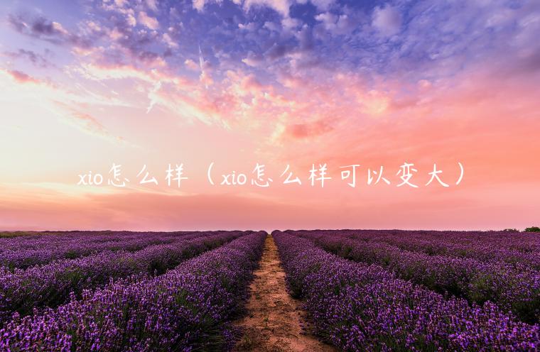 xio怎么样（xio怎么样可以变大）