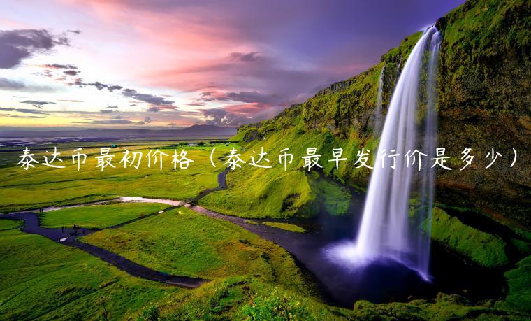 泰达币最初价格（泰达币最早发行价是多少）